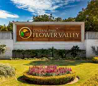 Board of Central park Flower Valley Mikasa plots